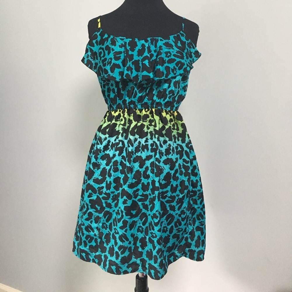 Rue 21 Ombre leopard print dress